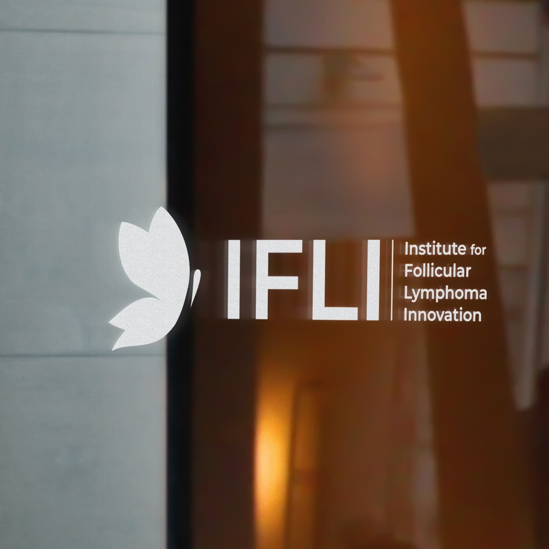IFLI – mynd 3