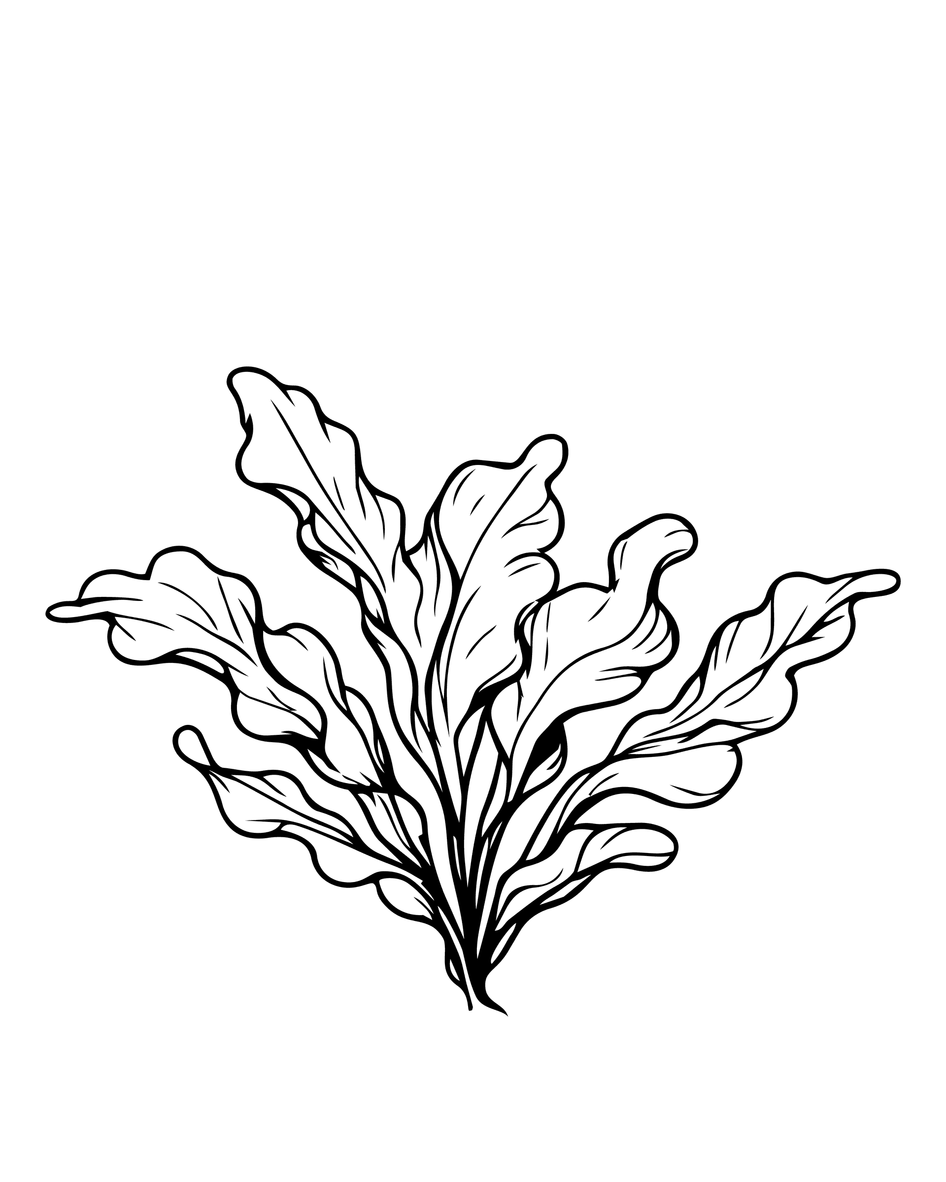 Arctical – mynd 2