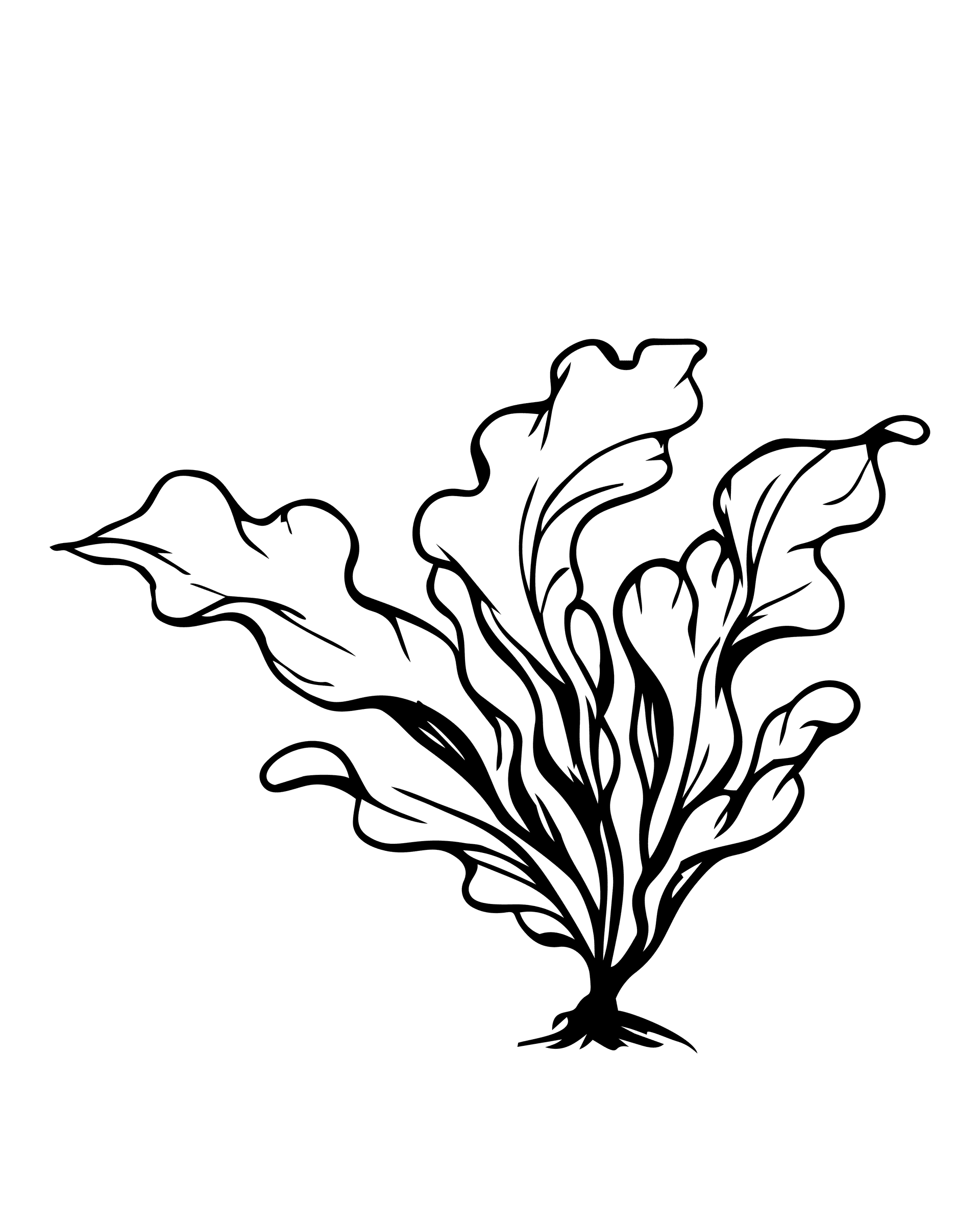 Arctical – mynd 6