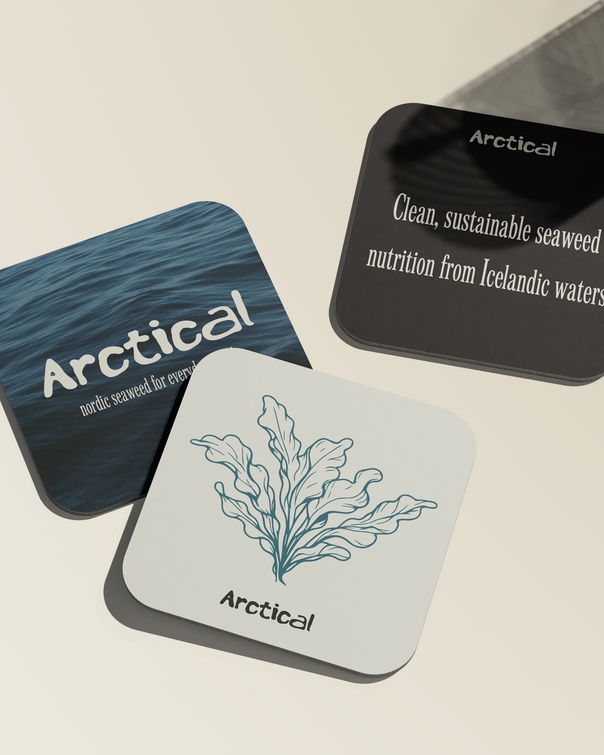 Arctical – mynd 12