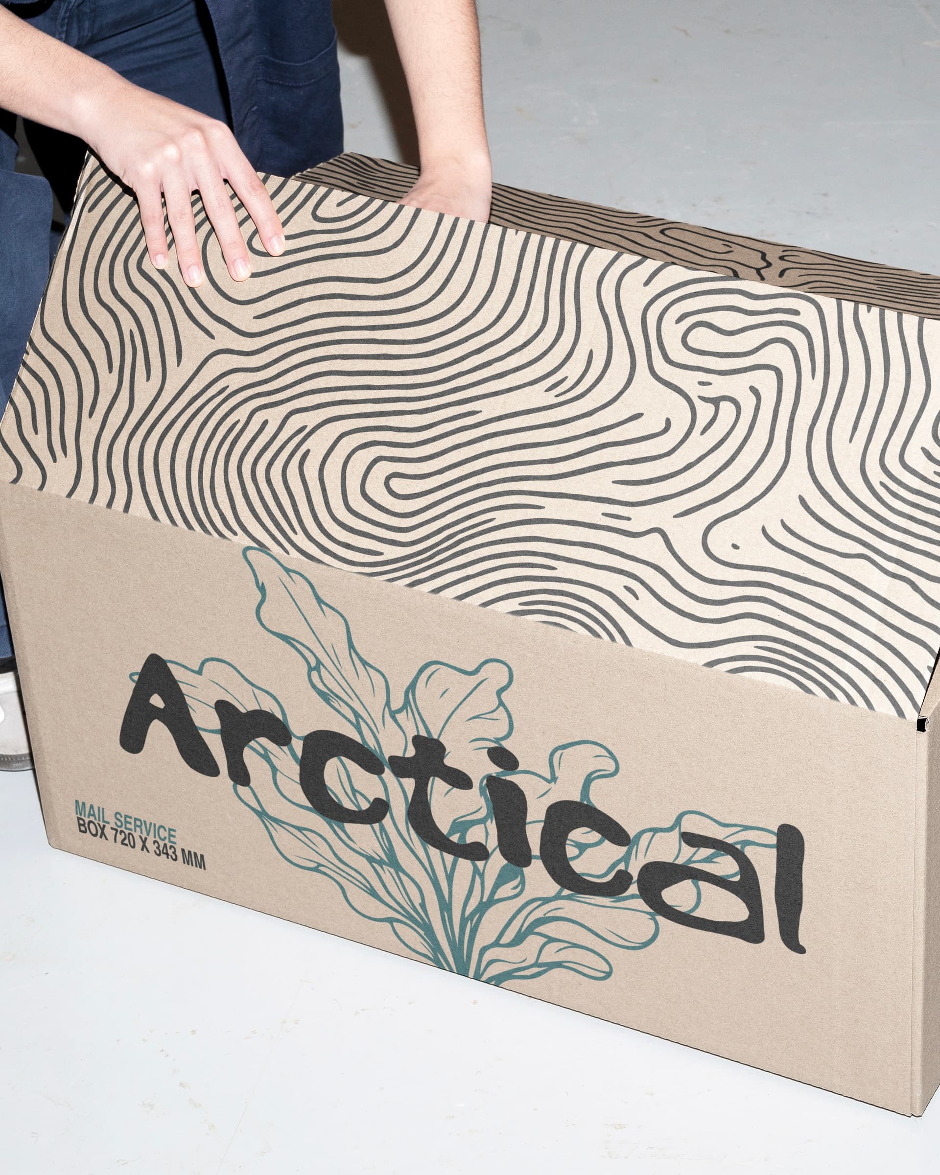 Arctical – mynd 3