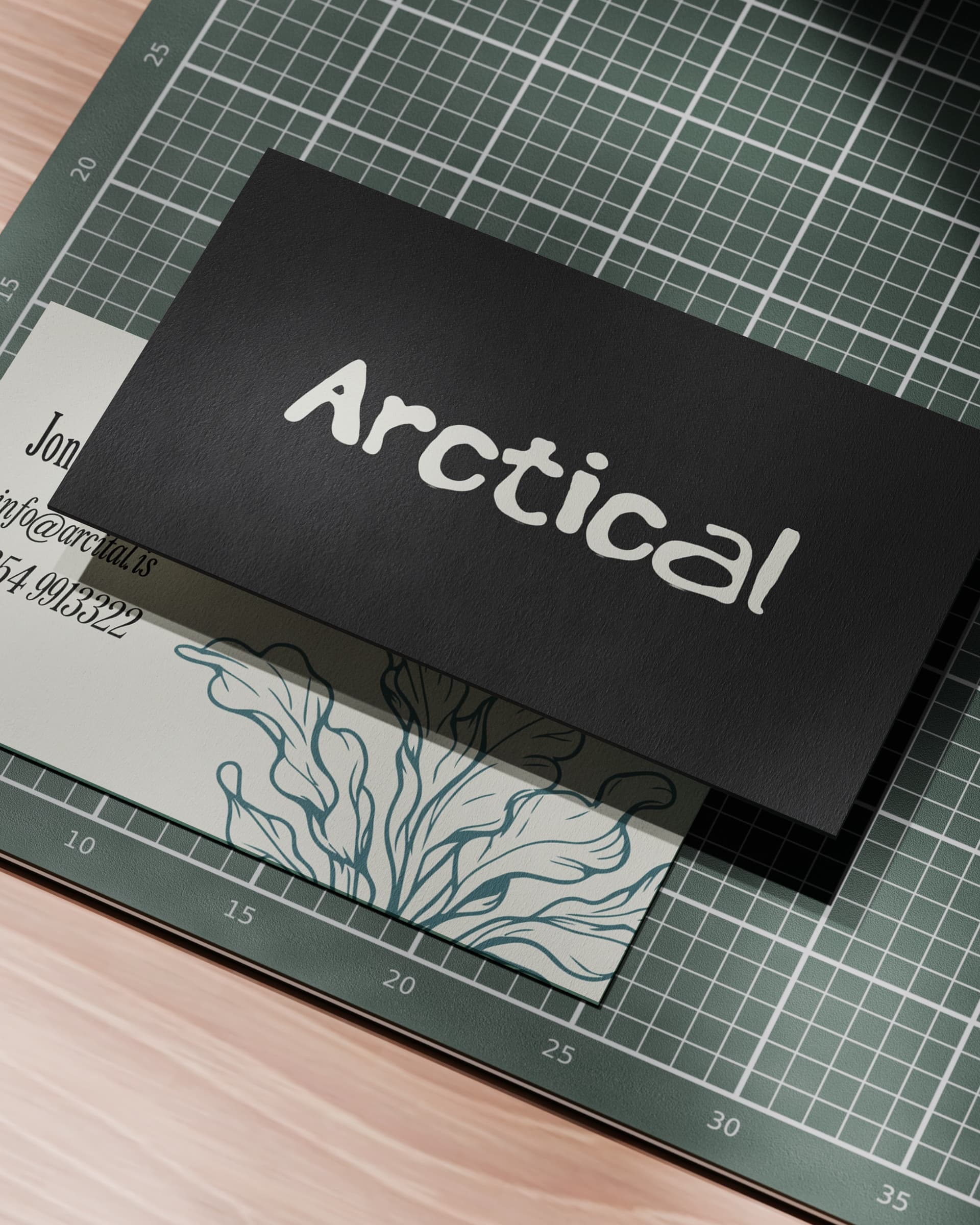 Arctical – mynd 14